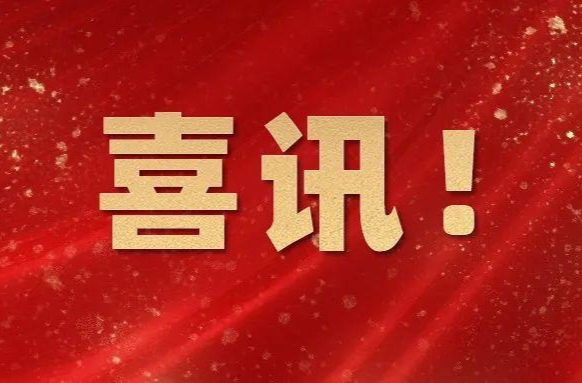 喜讯！临武县市场监督管理局获评“全省特种设备安全监察工作优秀单位”