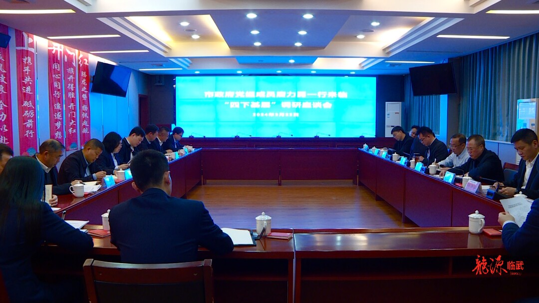 市政府领导来临调研