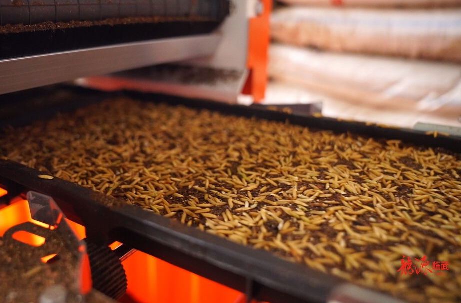 武水镇：现代化农机助力春耕备耕提质增效