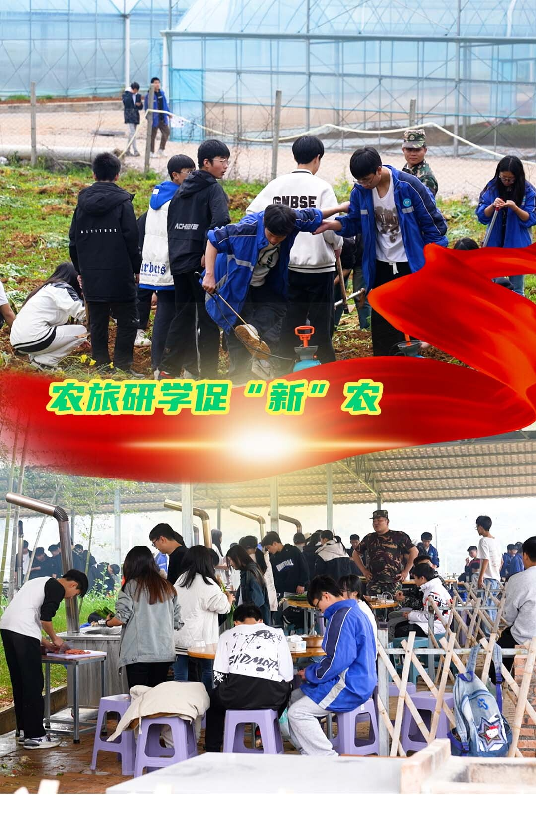 农旅研学促“新”农
