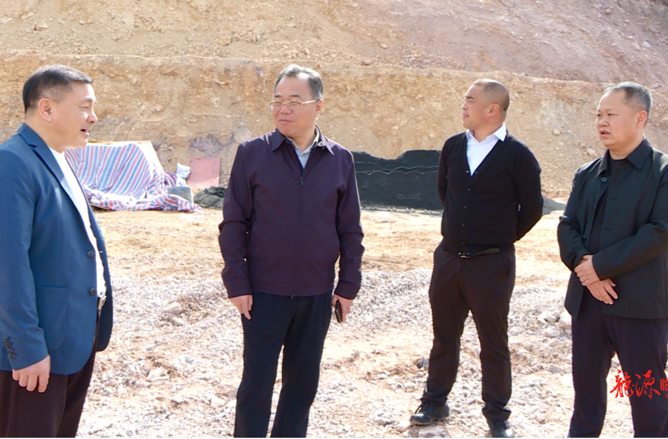 刘杨调研重点项目：统筹发力 推动项目建设提质增效