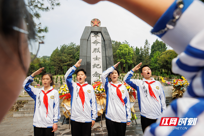 【红网时刻】临武县：清明时节祭英魂 红色精神永传承