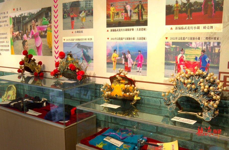 临武县公共文化服务体系高质量发展获全省优秀