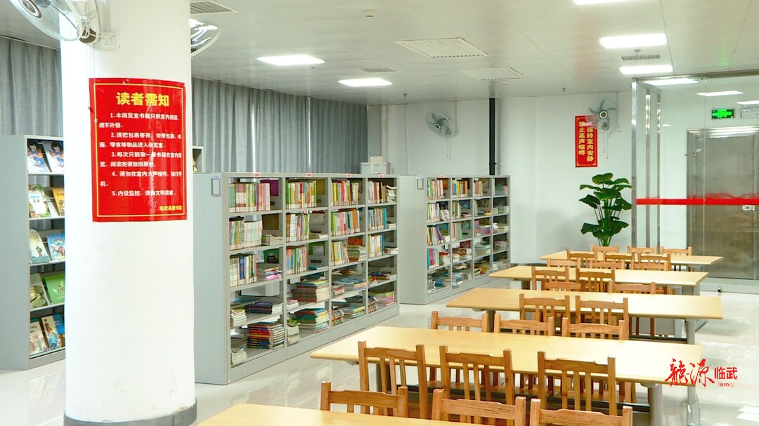 临武县公共文化服务体系高质量发展获全省优秀