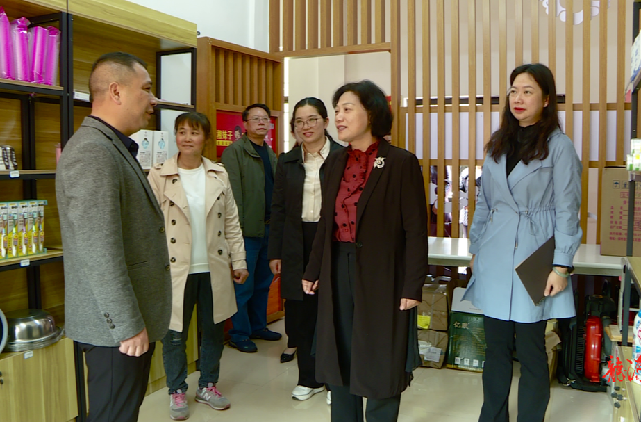 省妇联领导来临调研