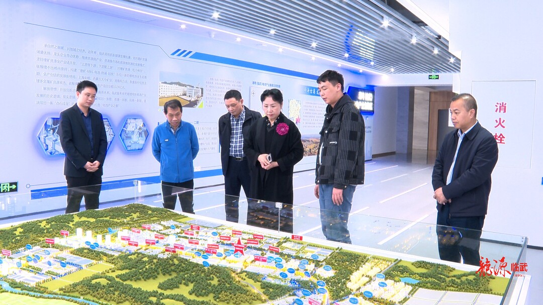 市老体协领导来临武县调研锂电新能源产业发展情况