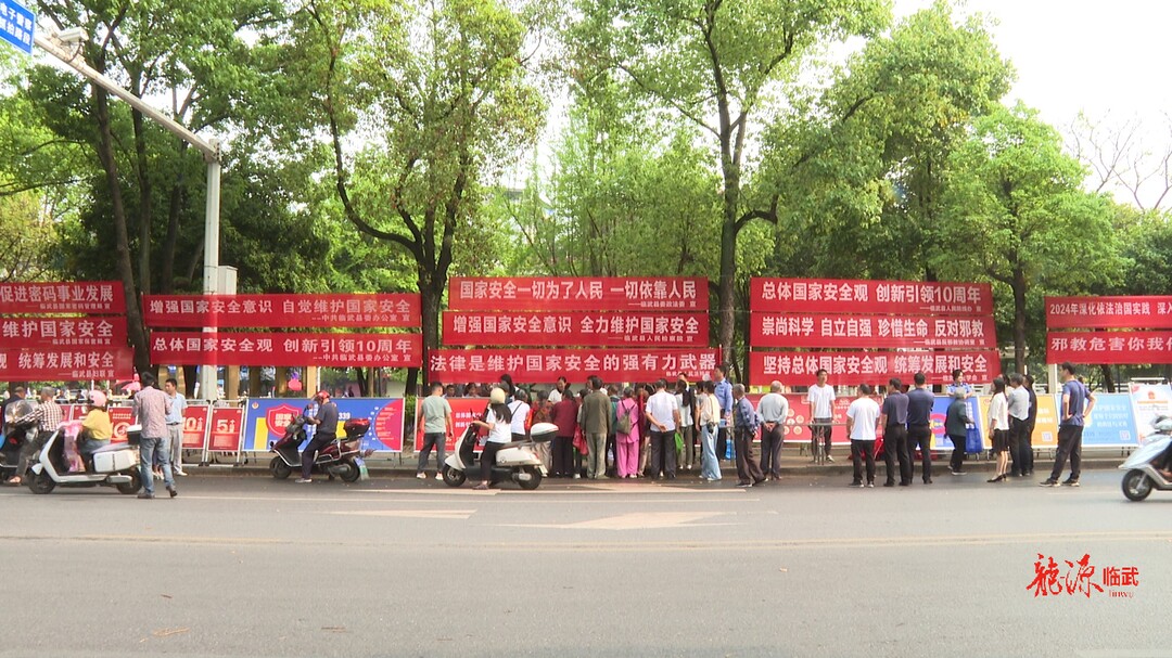 临武县开展“4·15”全民国家安全教育日集中宣传活动