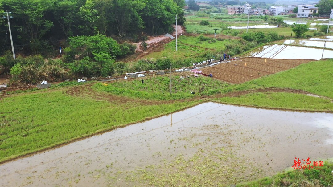 楚江镇：修水渠保灌溉 助生产解民忧
