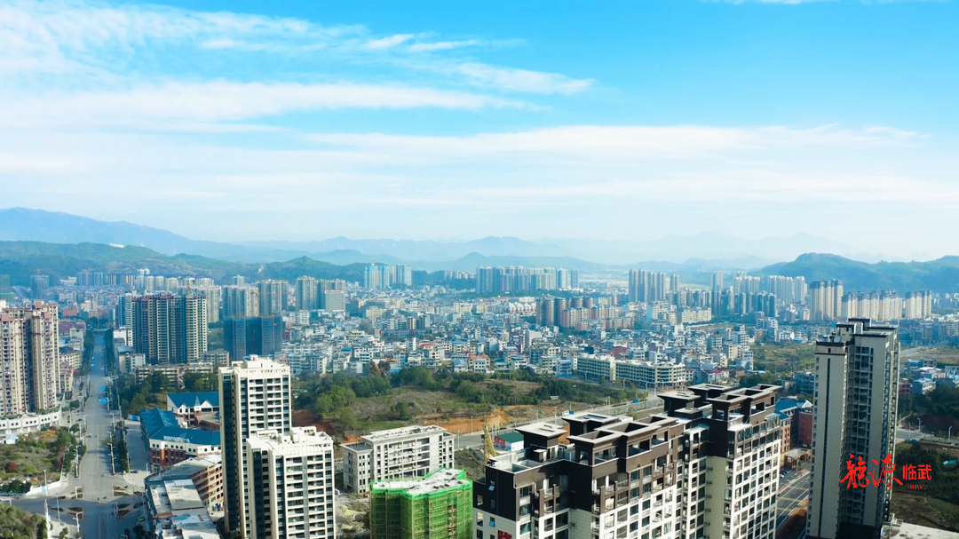 实施“八大行动”  打造临武高质量发展引擎