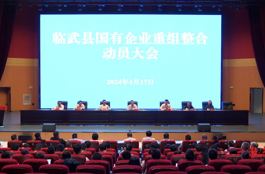 临武县全面推动县属国有企业重组整合工作