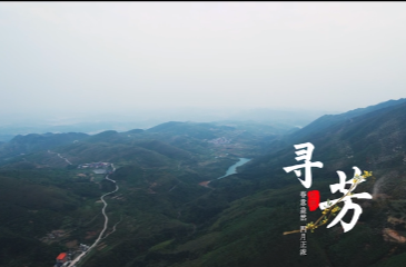 【新湖南】视频 | 临武：春日寻芳，野生杜鹃花的秘境之旅