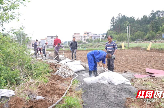 【红网时刻】临武县楚江镇：修水渠保灌溉 助生产解民忧