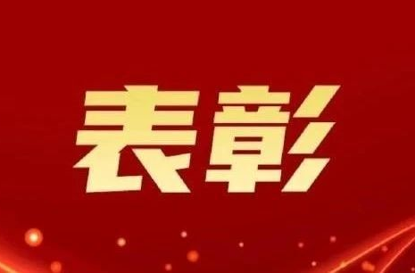 祝贺！临武这个集体获全国表彰！