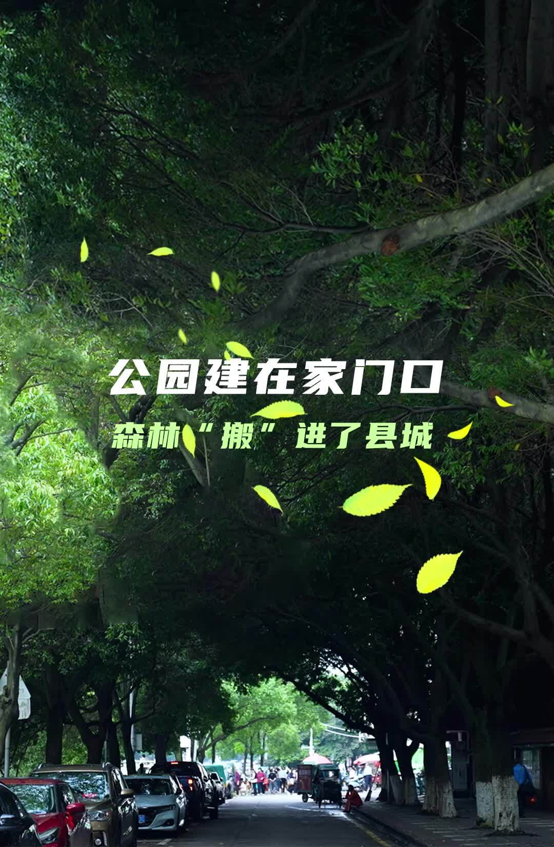 临武：公园建在家门口 森林“搬”进了县城