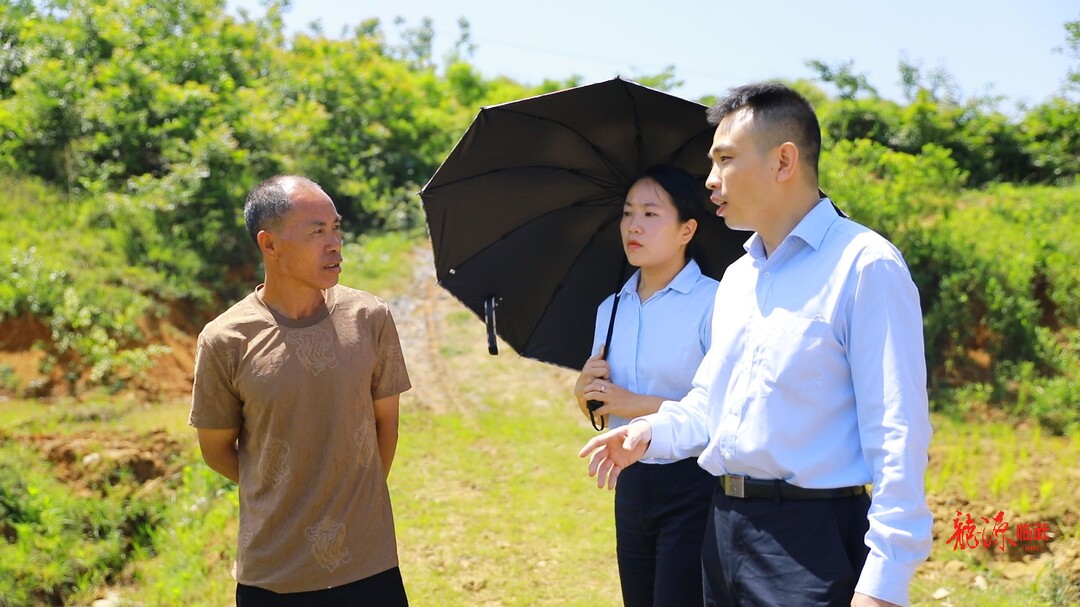 临武县首笔农村土地经营权证抵押贷款落地