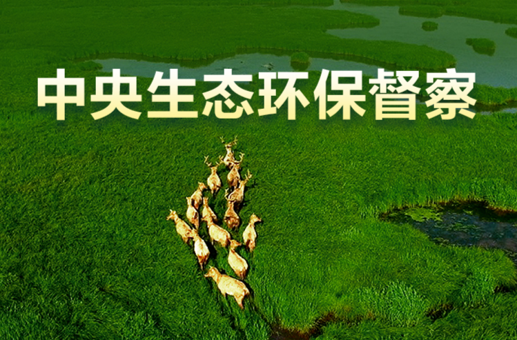 中央第五生态环境保护督察组向湖南交办第七批信访件119件