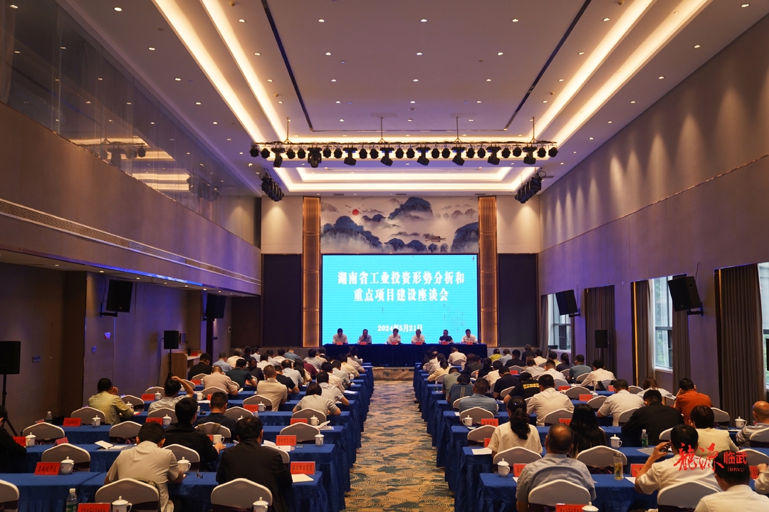 全省工业投资形势分析和重点项目建设座谈会在临武召开