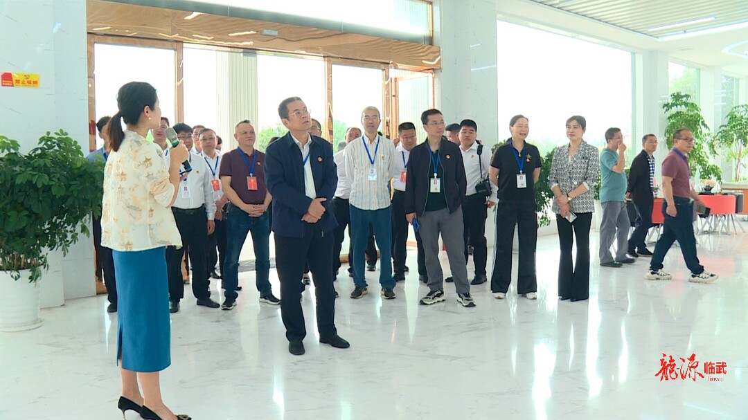 省市县三级人大代表视察优化营商环境发展状况