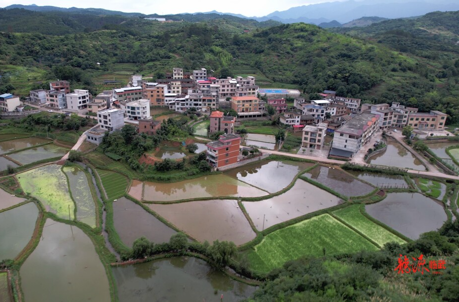 “农光互补”  移民村有了新模样