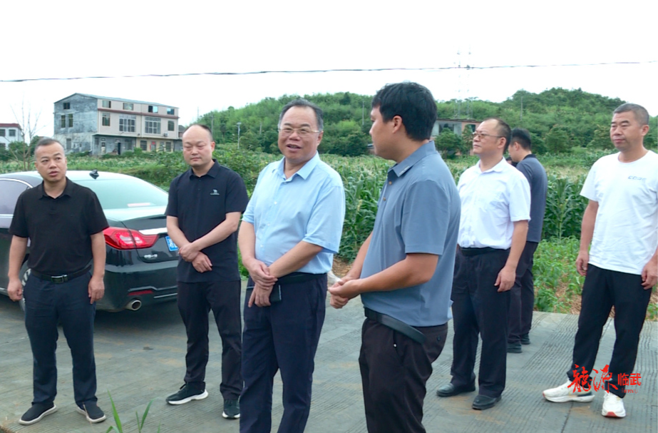 刘杨到镇南乡调研乡村振兴工作：听民声 知民意 聚民心 汇民智