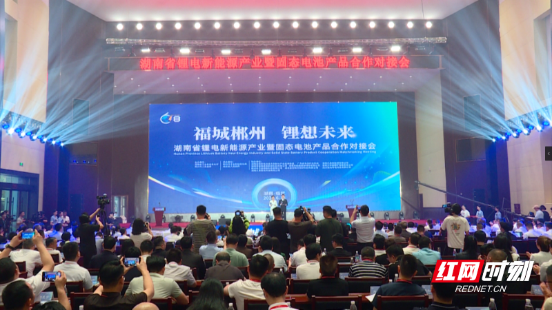 【红网时刻】临武盛会引热议 群众共谋未来新篇章