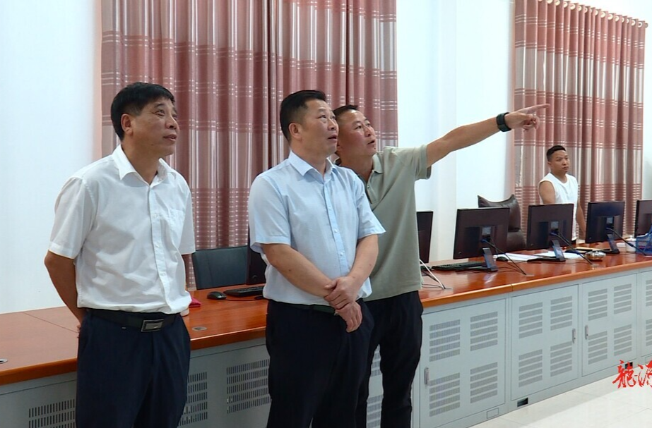 李波勇调研临武县优化营商环境工作