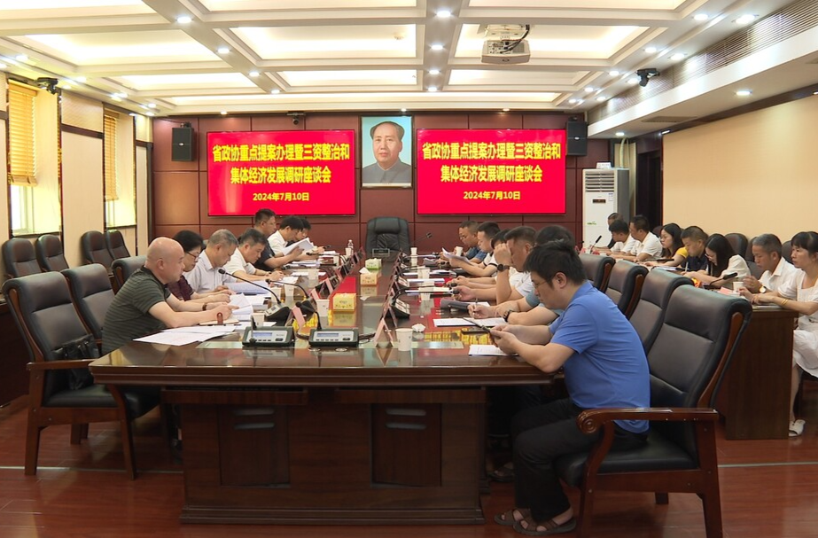 省政协重点提案办理暨“三资”整治和集体经济发展调研座谈会在临武县召开