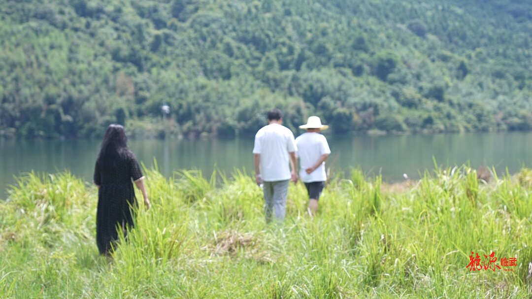 临武县水利局：落实监管责任 构建防溺水安全防线