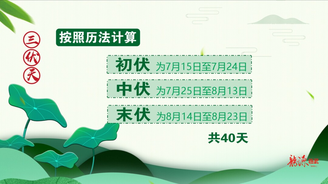 40天！“超长待机”三伏天来了