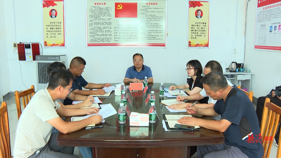 刘杨调研指导武水镇两寨村党组织提质专项行动工作