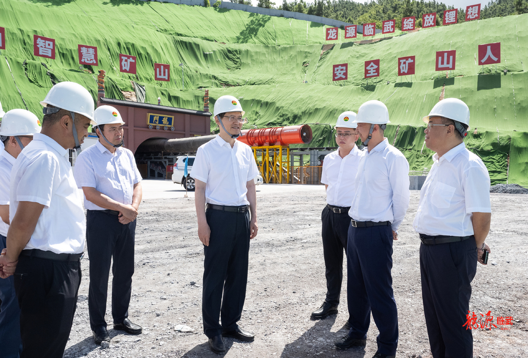 阚保勇到临武县调研督导实施“八大行动”暨县域经济社会发展情况