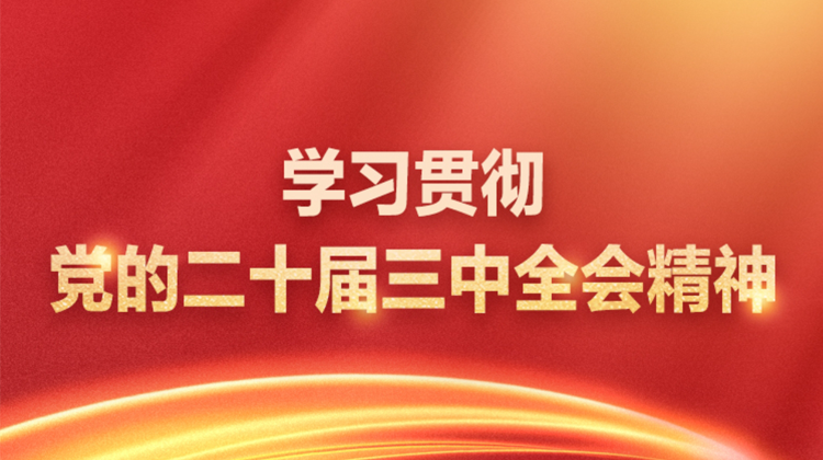 学习贯彻党的二十届三中全会精神