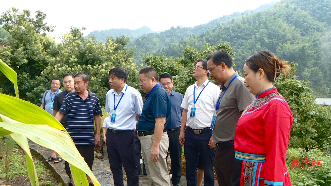 临武县政协开展“对口帮扶民族村建设”专题视察活动