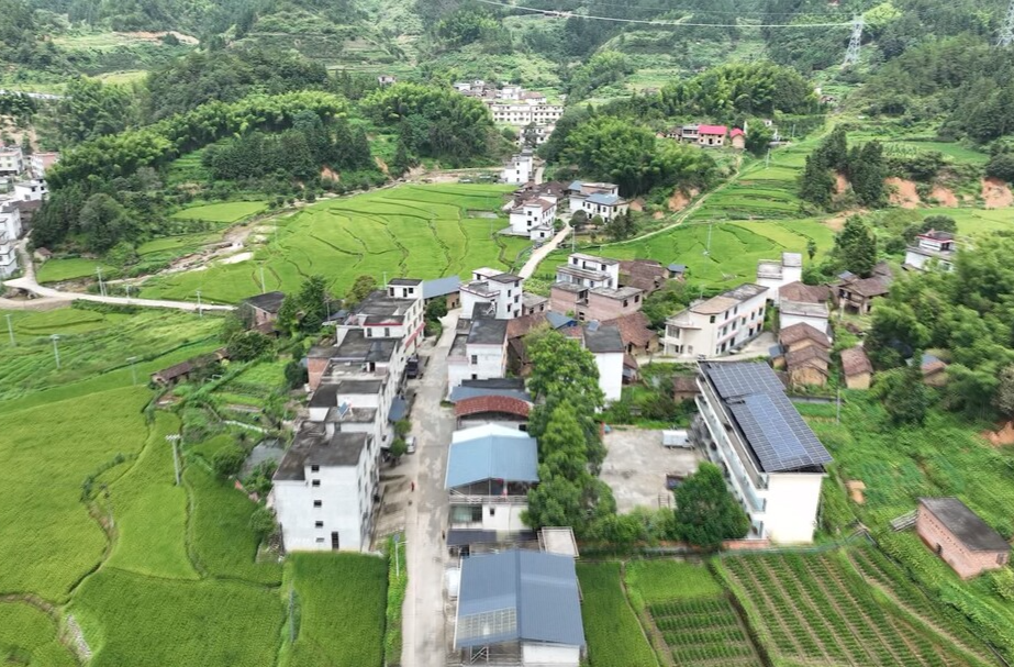 资临携手  风雨同舟｜临武帮扶工作队昼夜奋战  资兴市州门司镇43条通组公路抢通