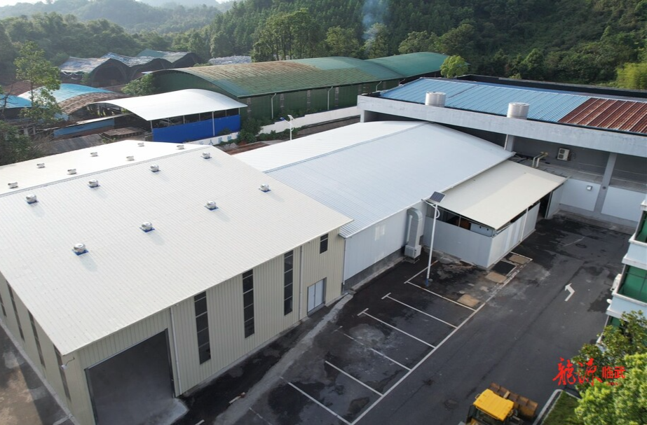 临武香芋现代农业产业加工厂将于10月份投产