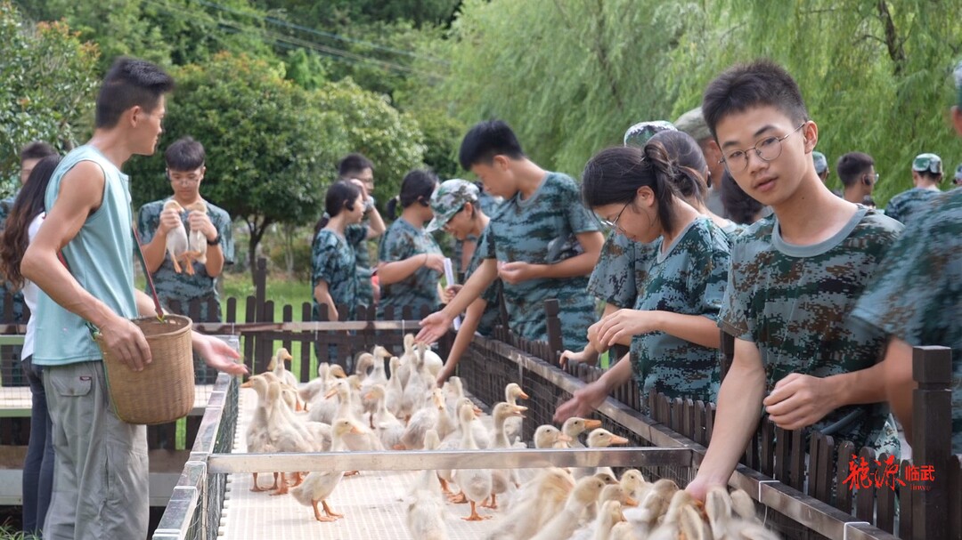 最美课堂！校企合作共研学