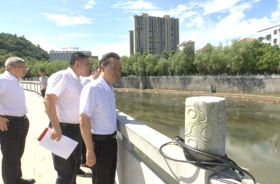 落实“六大新行动”半年督战临武县会议精神：推进问题整改 齐心协力建设“锂”想之城