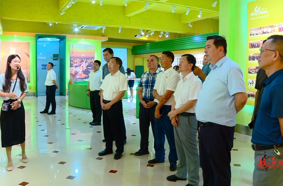 新疆吐鲁番市托克逊县人大常委会考察团到临武县考察学习