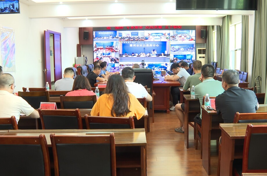 临武县收听收看市人大关于“三法一条例两办法”执法检查安全守底线行动电视电话会议