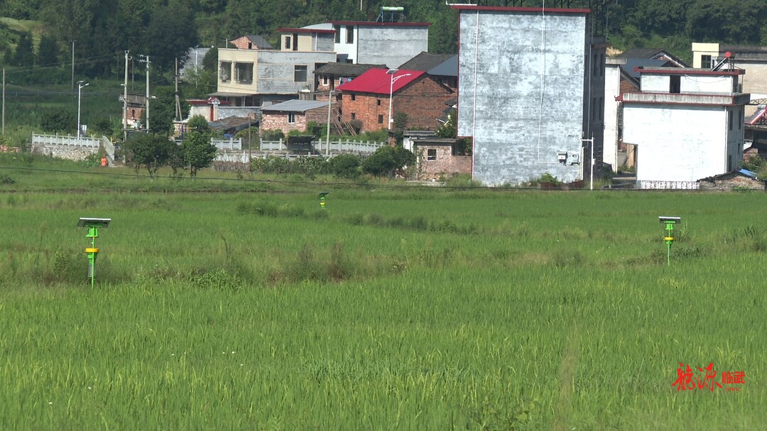 临武县农业农村局：安装太阳能杀虫灯 保护水源地安全