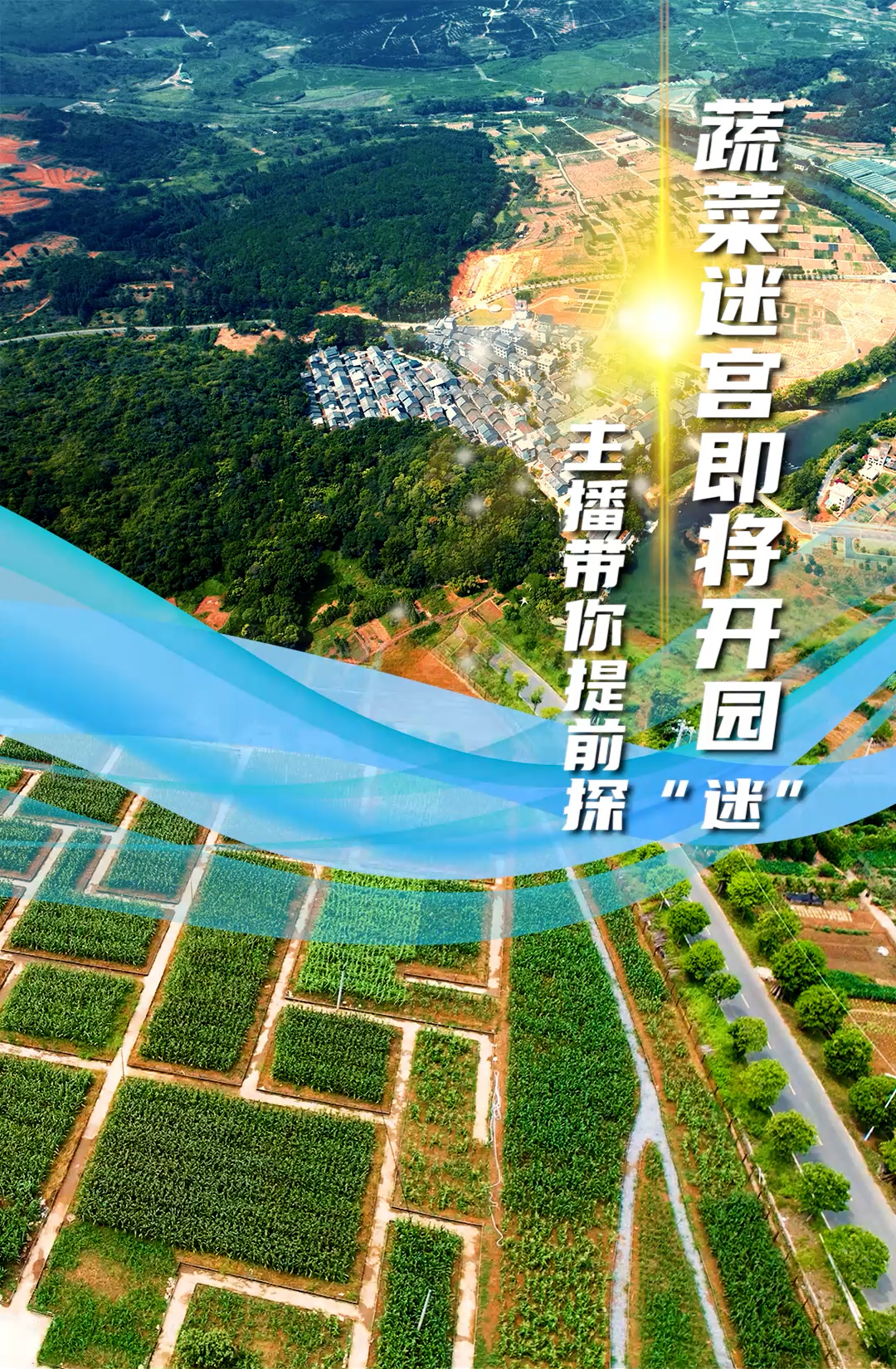 临武龙归坪：蔬菜迷宫即将开园！主播带你提前探“迷”