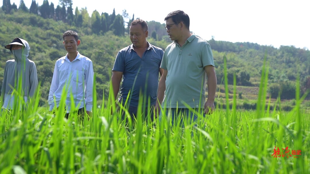 临武县农业农村局：多措并举治抛荒  让农户增地增收