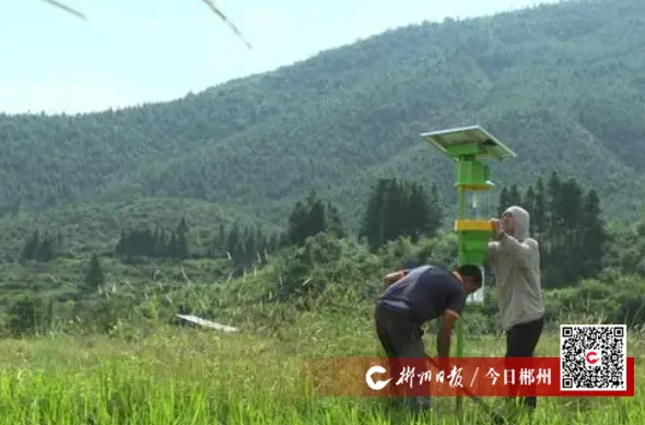 【学习强国】生态保护 | 郴州临武：安装杀虫灯保护水源地