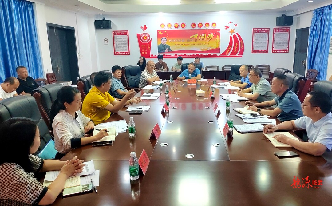 市评审组对临武县紧密型县域医共体建设进行评定