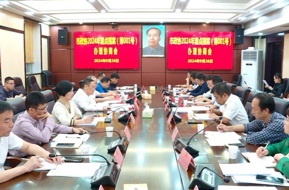 市政协来临开展2024年重点提案办理协商