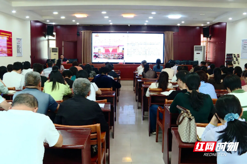 【红网时刻】临武：理论宣讲进基层 推动全会精神深入人心
