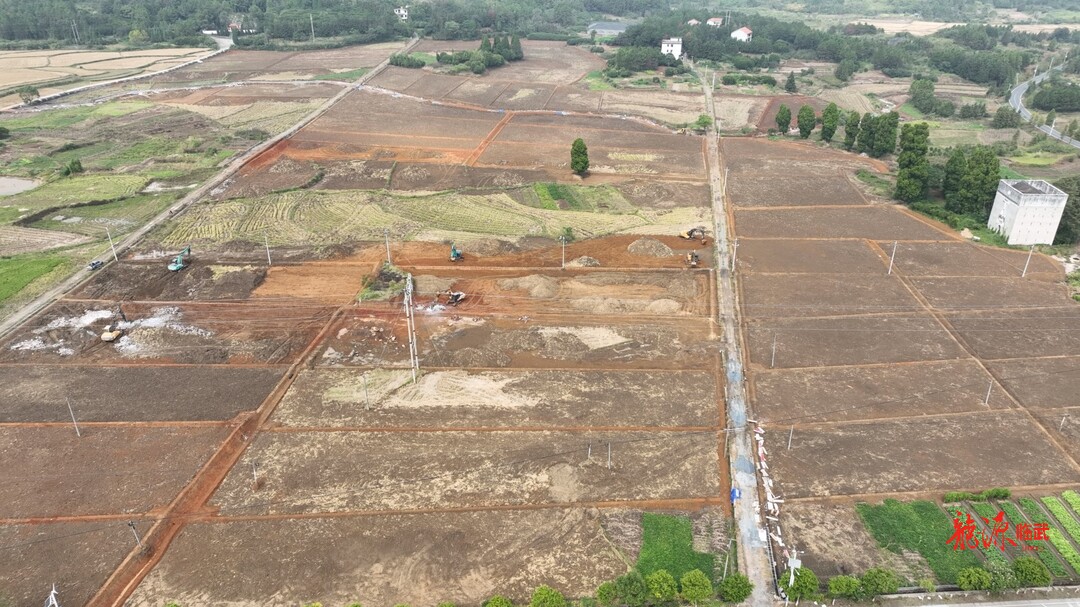 汾市：推进高标准农田建设  夯实粮食安全“耕”基