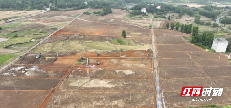 【红网时刻】临武：推进高标准农田建设 夯实粮食安全“耕”基