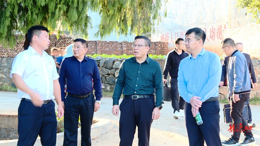市工信局领导来临调研乡村振兴工作