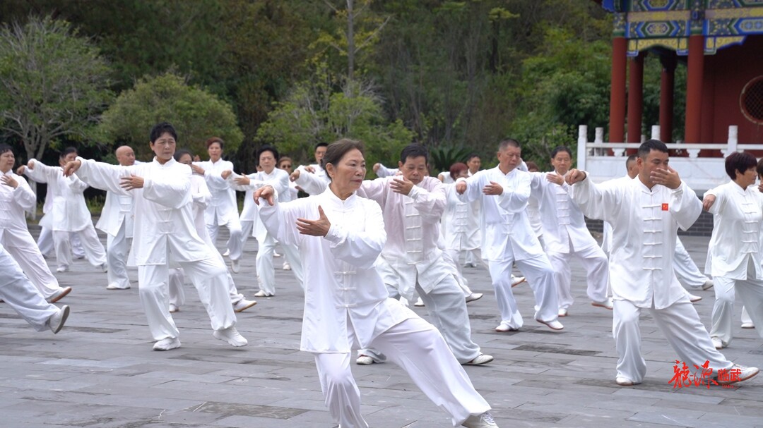 郴临两地太极拳协会交流展示活动在临武举行